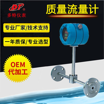 熱式氣體質(zhì)量流量計