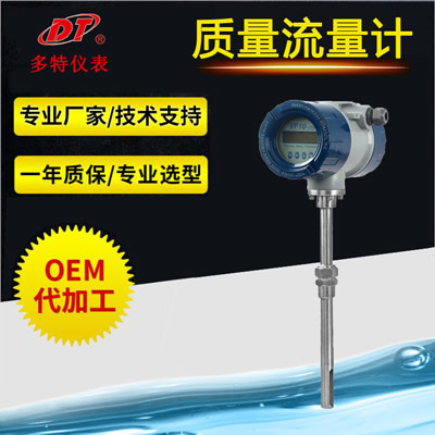 插入式質(zhì)量流量計